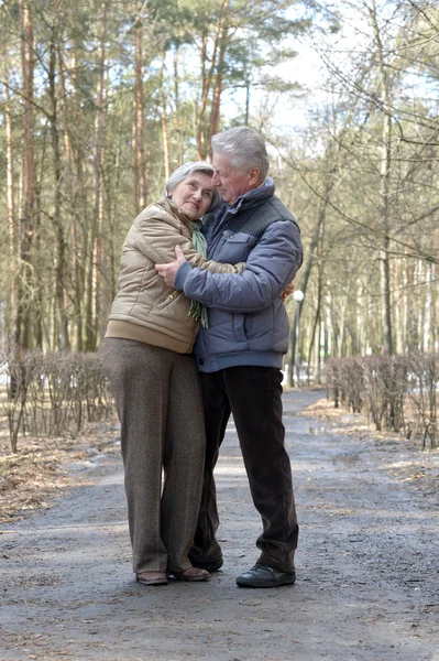 Glada äldre par — Stockfoto