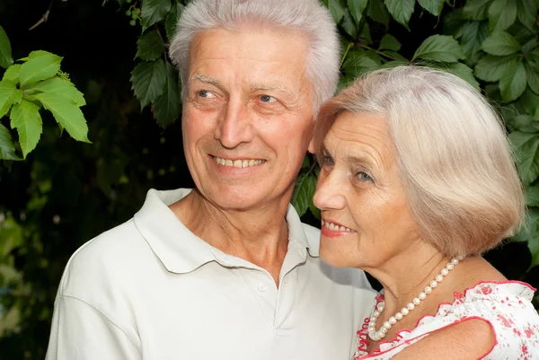 Милая пожилая пара в парке — стоковое фото