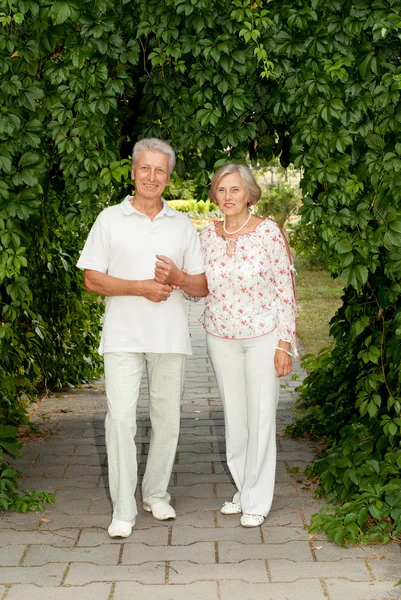 Amusing elderly couple in the park — Stock Photo, Image