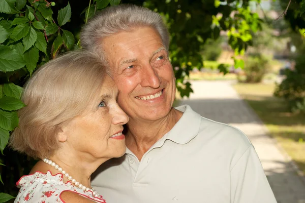 Superb elderly couple in the park — Stock Photo, Image