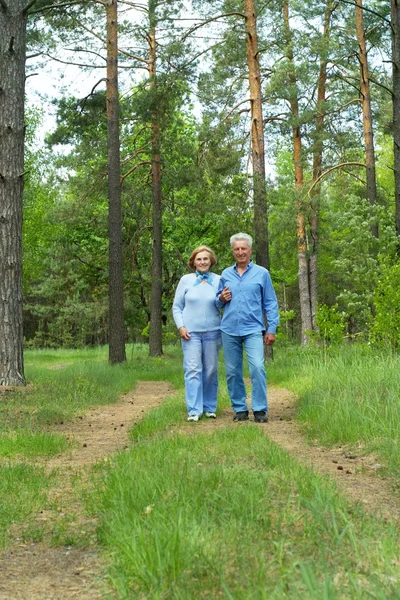 Beautiful elderly couple — Stock Photo, Image