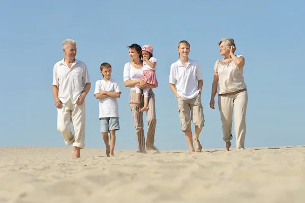 Familia numerosa descansando — Foto de Stock