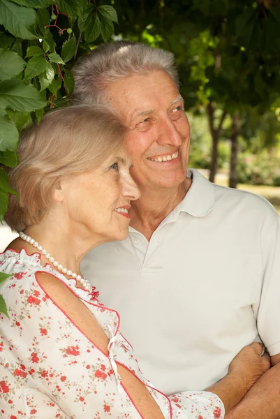 Pleasant elderly couple in the park — Stock Photo, Image