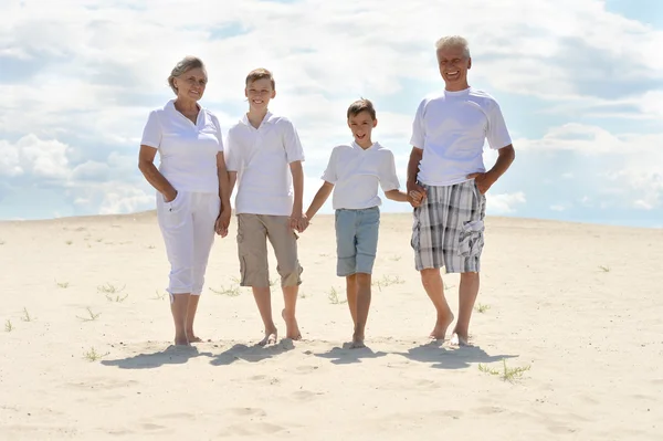 Brothers with their grandparents — Stock Photo, Image