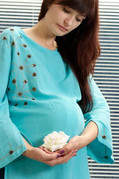 Mujer embarazada agradable — Foto de Stock