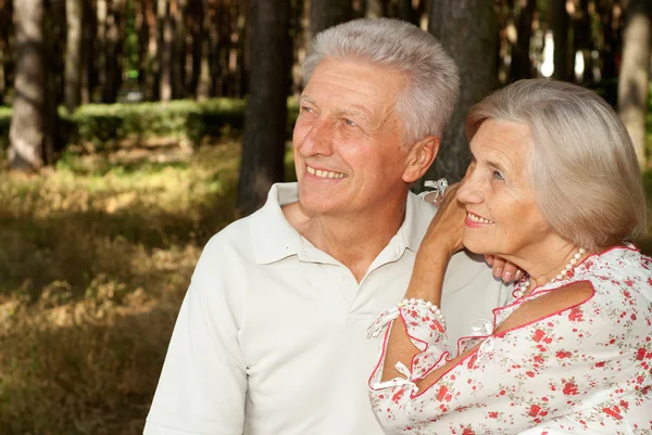 Funny elderly couple in the forest Stock Image