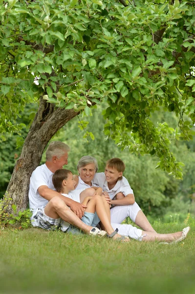 在一棵树下的家庭 — 图库照片