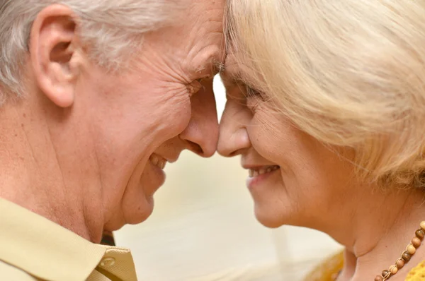 Portrait of a nice elderly couple — Stock Photo, Image