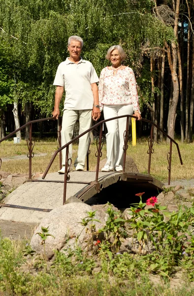 Beauteous elderly couple in the garden — Stock Photo, Image