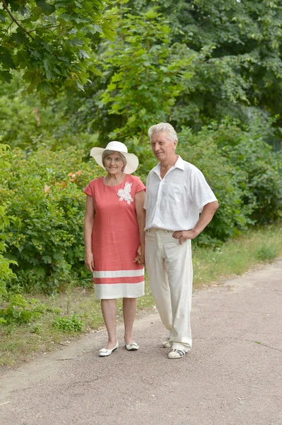 Lykkelig senior par - Stock-foto