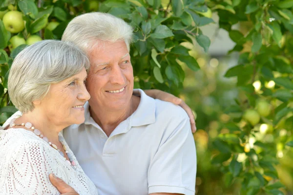 Senior pair in park — Stock Photo, Image