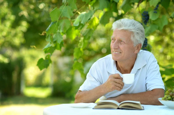 Hermoso hombre mayor agradable en la mesa — Foto de Stock