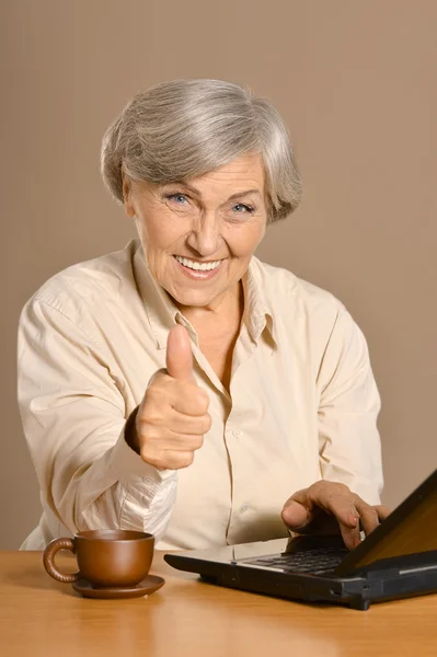 Mujer mayor con portátil —  Fotos de Stock