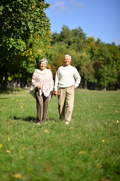 Pasangan lansia manis pergi di taman — Stok Foto