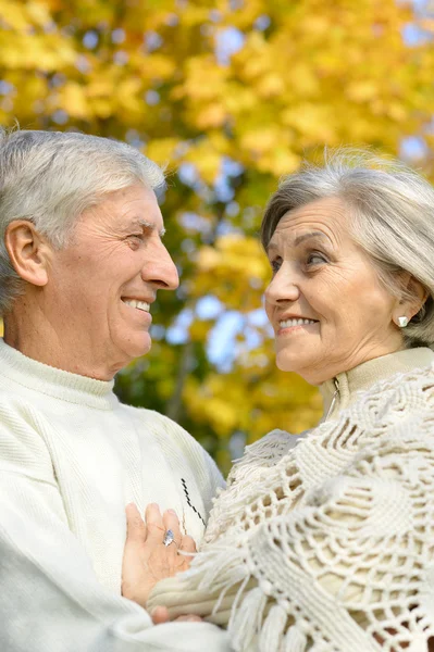 Adorable pareja de ancianos fue en el parque —  Fotos de Stock