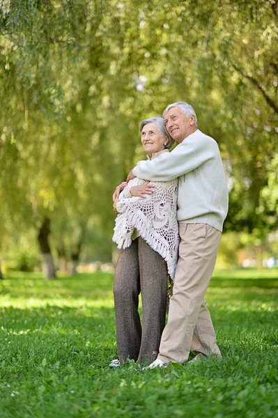 Adorable pareja de ancianos fue en el parque — Foto de Stock