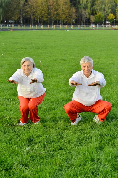 Deportiva pareja de ancianos — Foto de Stock