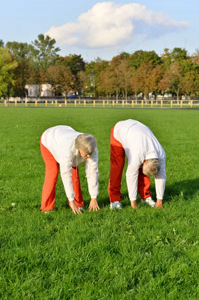 Passen bejaarde echtpaar — Stockfoto