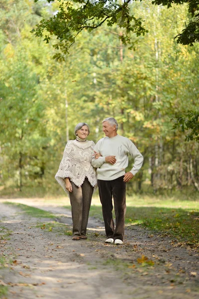 Vecchia coppia al parco — Foto Stock