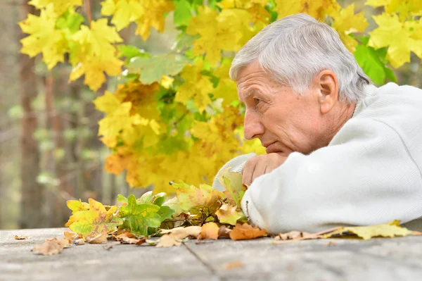 Senior man in autumn — Stock Photo, Image
