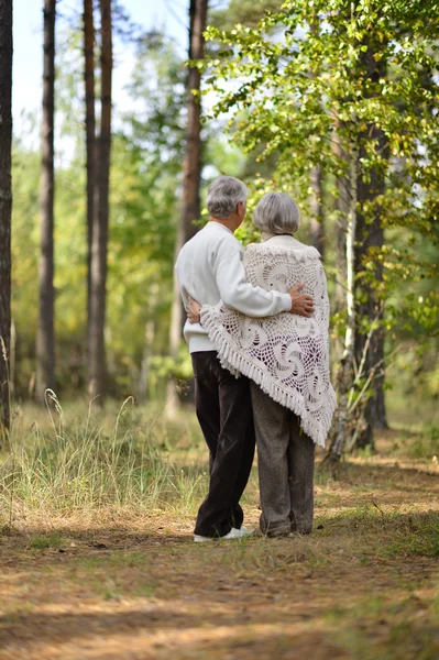 Old couple at park — Stock Photo, Image