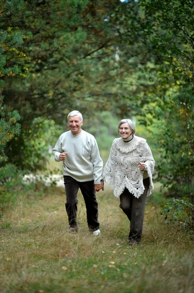 Oud koppel in park — Stockfoto