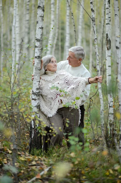 Gammalt par på park — Stockfoto