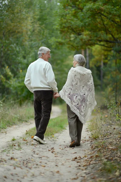 Pareja mayor en el parque — Foto de Stock