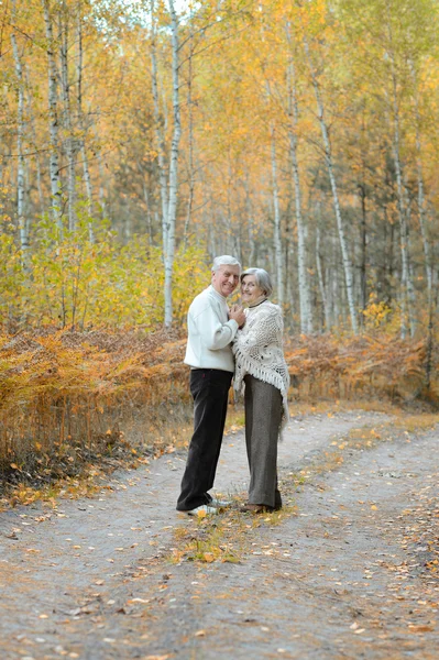 Ηλικιωμένο ζευγάρι το φθινόπωρο — Φωτογραφία Αρχείου