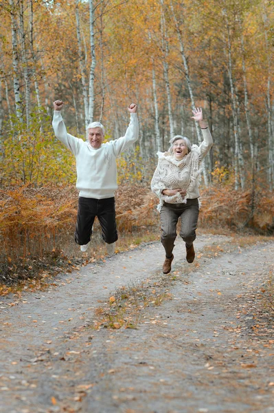 Feliz pareja de ancianos — Foto de Stock