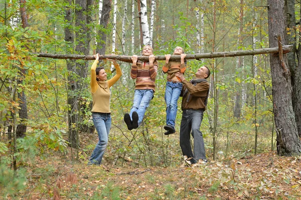 Family of four in park — Stock Photo, Image