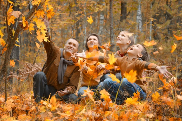 Vierköpfige Familie im Park — Stockfoto