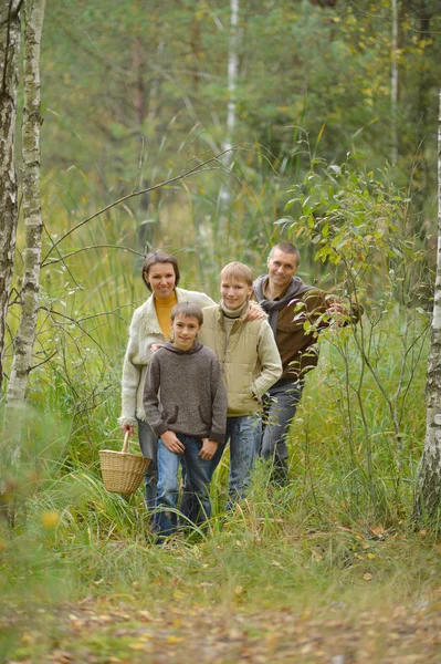 Familj på fyra i park — Stockfoto