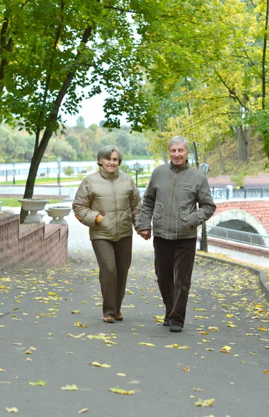 Attractive old couple — Stock Photo, Image