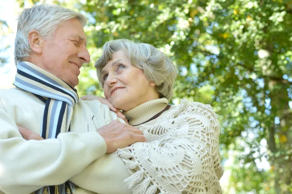 Feliz pareja de ancianos —  Fotos de Stock