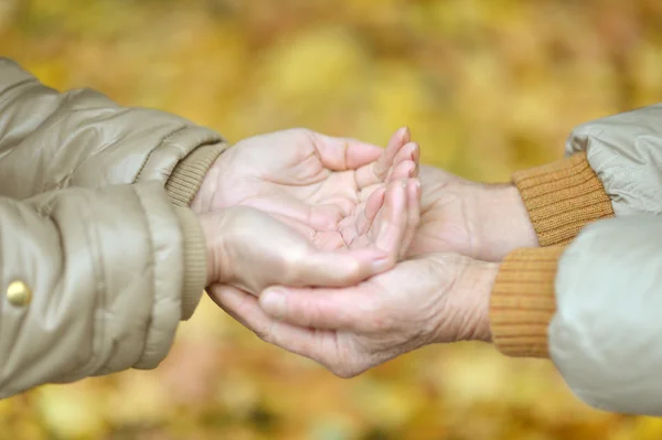 Friendship and love — Stock Photo, Image