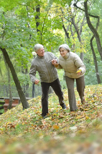 Atractiva pareja de edad —  Fotos de Stock