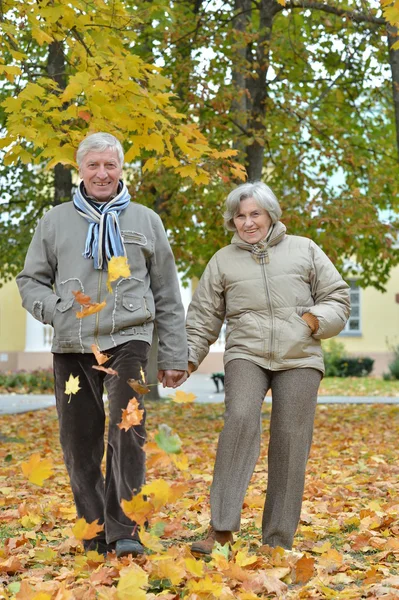 Gelukkig volwassen stel — Stockfoto