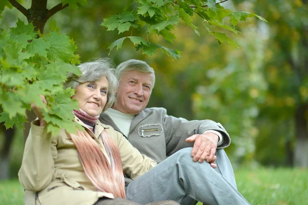 Beautiful aged couple — Stockfoto