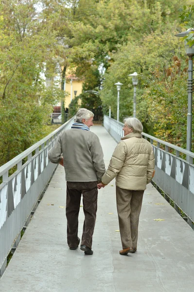 Atractiva pareja de ancianos —  Fotos de Stock