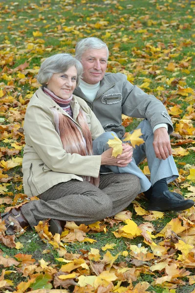 Beautiful elder couple — Stock Photo, Image