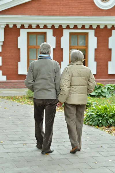 Atractiva pareja de ancianos —  Fotos de Stock