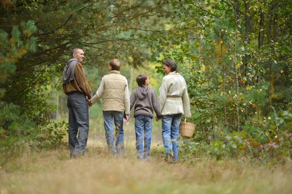 Wandern im Wald — Stockfoto