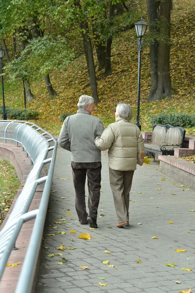 Attrayant vieux couple — Photo