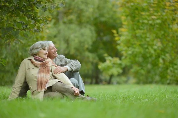 Nettes älteres Ehepaar — Stockfoto