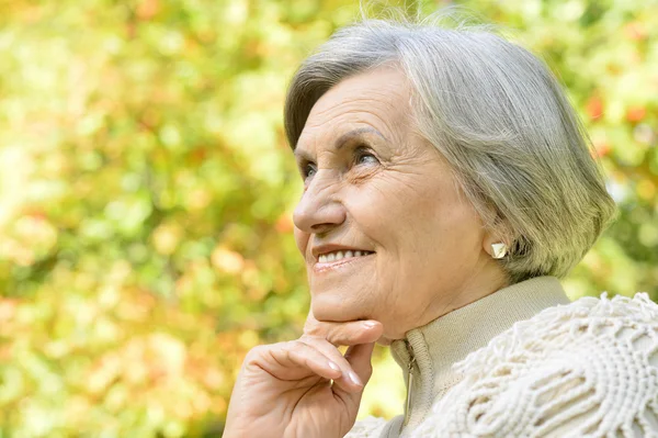 Nette alte Frau — Stockfoto