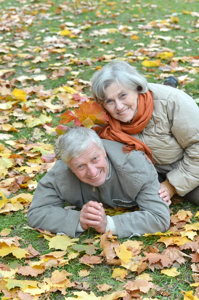 Attrayant couple mature — Photo