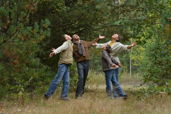 V podzimním lese — Stock fotografie