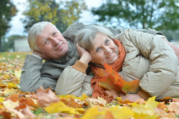 Attractive Mature couple — Stock Photo, Image