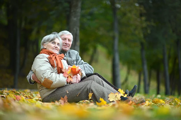 Atractiva pareja madura — Foto de Stock